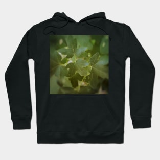 Maple Tree Green Leaves Hoodie